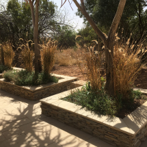 Photo 2019-09-25, 14 24 27